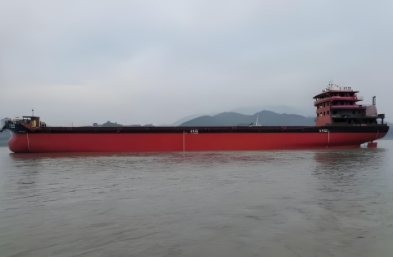 散雜船海運(yùn)的定義、特點(diǎn)、應(yīng)用領(lǐng)域以及面臨的挑戰(zhàn)與機(jī)遇